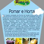 Quinta Do Castelo, De Pedra בית כפרי *