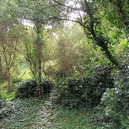 Quinta Do Castelo, De Pedra Country house *