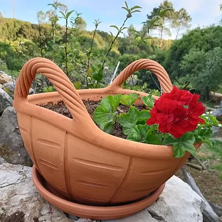 Quinta Do Castelo, De Pedra カントリーハウス *