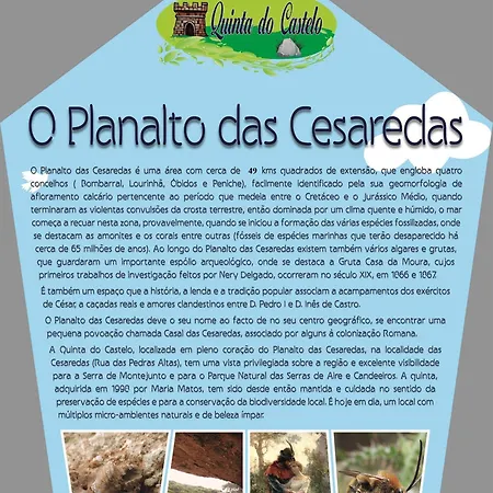 Quinta Do Castelo, De Pedra Reguengo Grande