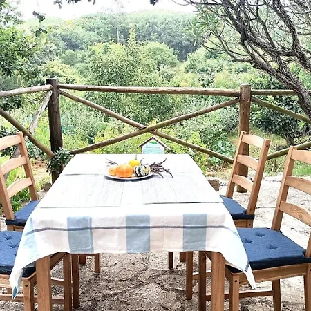 Quinta Do Castelo, De Pedra Country house Reguengo Grande