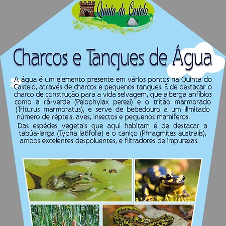 Quinta Do Castelo, De Pedra カントリーハウス