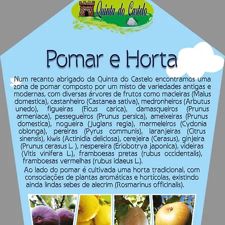 Quinta Do Castelo, De Pedra カントリーハウス *