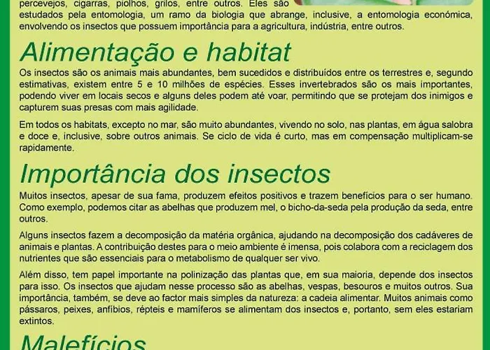 Séjour à la campagne Quinta Do Castelo, De Pedra Reguengo Grande