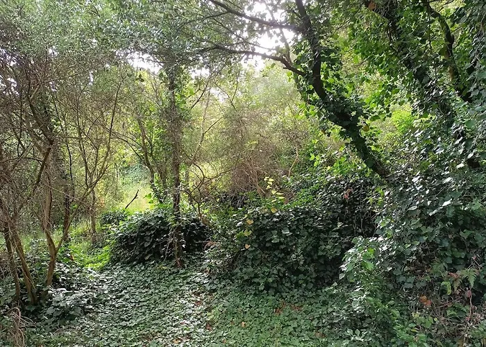 Quinta Do Castelo, De Pedra Séjour à la campagne *