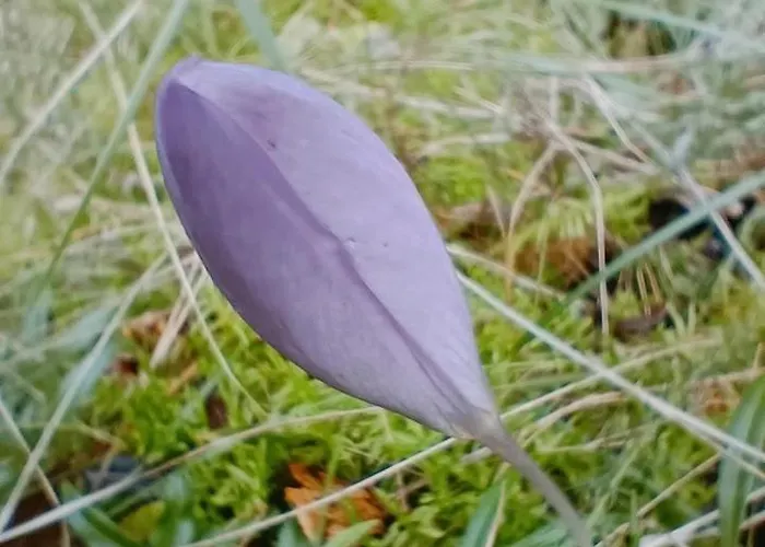Séjour à la campagne Quinta Do Castelo, De Pedra