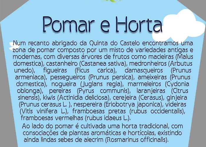 Quinta Do Castelo, De Pedra Séjour à la campagne *