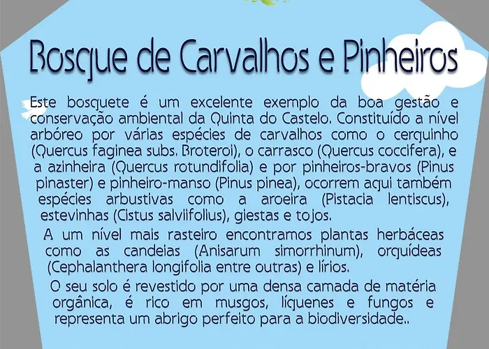 Quinta Do Castelo, De Pedra *